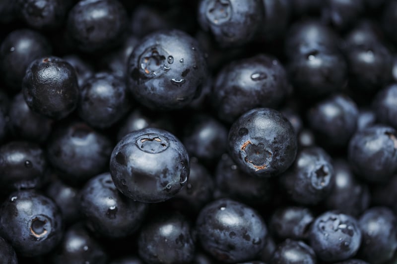 Superfood Craze